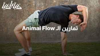 لتعزيز لياقتك البدنية إليك تمارين الـ Animal Flow